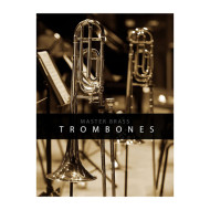 قیمت خرید فروش وی اس تی پلاگین آدیکت Auddict Master Brass Trombones