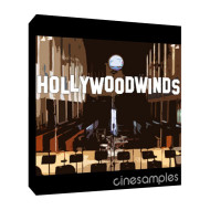 قیمت خرید فروش وی اس تی پلاگین  CineSamples Hollywoodwinds