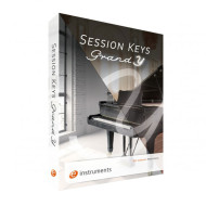 قیمت خرید فروش وی اس تی پلاگین ای اینسترومنت E-Instruments Session Keys Grand Y