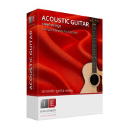 قیمت خرید فروش وی اس تی پلاگین  Ilya Efimov Production Acoustic Guitar