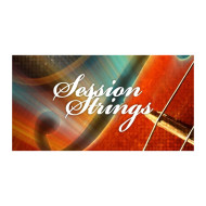 قیمت خرید فروش وی اس تی نیتیو اینسترومنتز Native Instruments CM Session