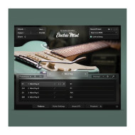 قیمت خرید فروش وی اس تی نیتیو اینسترومنتز Native Instruments Electric Mint