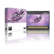 قیمت خرید فروش وی اس تی نیتیو اینسترومنتز Native Instruments Ignition Keys
