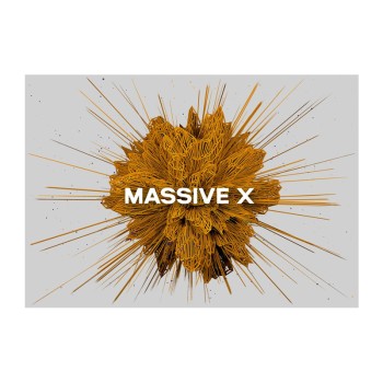 وی اس تی نیتیو اینسترومنتز Native Instruments Massive X