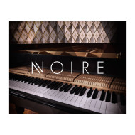 قیمت خرید فروش وی اس تی نیتیو اینسترومنتز Native Instruments Noire