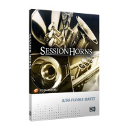 قیمت خرید فروش وی اس تی پلاگین نیتیو اینسترومنتز Native Instruments Session Horns