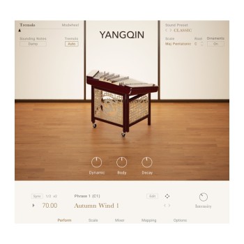 وی اس تی نیتیو اینسترومنتز Native Instruments Yangqin