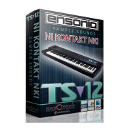 قیمت خرید فروش وی اس تی پلاگین  norCtrack ENSONIQ TS12