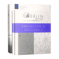 قیمت خرید فروش وی اس تی پلاگین ارکسترال تولز Orchestral Tools Berlin Strings EXP B Special Bows II