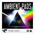 قیمت خرید فروش وی اس تی پلاگین پرایم لوپس Prime Loops Ambient Pads