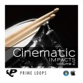 قیمت خرید فروش وی اس تی پلاگین پرایم لوپس Prime Loops Cinematic Impacts Vol. 2