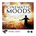 قیمت خرید فروش وی اس تی پلاگین پرایم لوپس Prime Loops Cinematic Moods