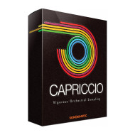 قیمت خرید فروش وی اس تی پلاگین  Sonokinetic Capriccio