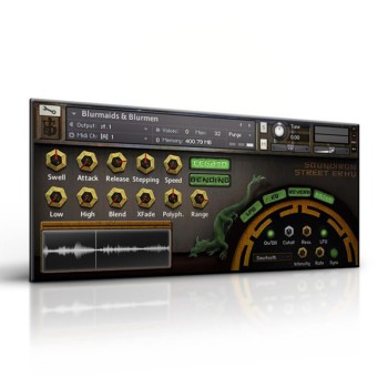 وی اس تی پلاگین  Soundiron Street Erhu