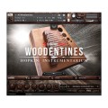 قیمت خرید فروش وی اس تی  Soundiron Hopkin Instrumentarium Woodentines