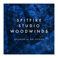 قیمت خرید فروش وی اس تی  Spitfire Audio Studio Woodwinds