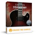قیمت خرید فروش وی اس تی پلاگین  Orange Tree Samples Evolution Strawberry